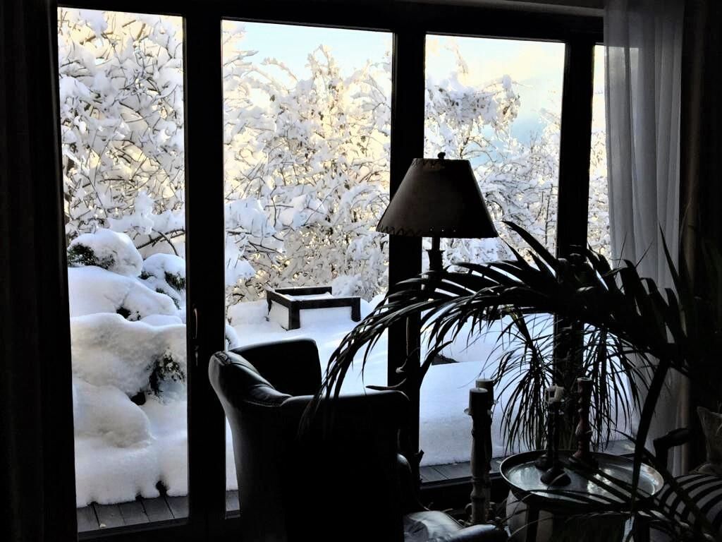 Виллы Le Petit Chalet Брашов-18